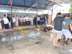 Universitas Negeri Gorontalo Sembelih 21 Hewan Kurban untuk Civitas Akademika dan Masyarakat
