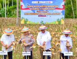 Dukung Ketahanan Pangan Nasional, Kapolda Gorontalo Pimpin Panen Raya Jagung Serentak
