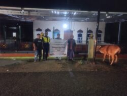 ​PT Gorontalo Minerals Salurkan 18 Sapi Kurban ke Ring 1 Tambang