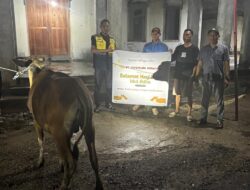 Misi Utama PT GM di Balik Penyaluran 18 Ekor Sapi Kurban Idul Adha 1447 H