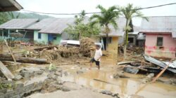 Data Sementara Ungkap Besarnya Dampak Banjir di Kecamatan Biau
