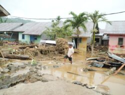 Data Sementara Ungkap Besarnya Dampak Banjir di Kecamatan Biau