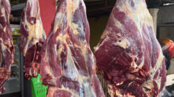 Jelang Iduladha, Harga Daging Sapi di Kota Gorontalo Naik, Tembus Rp150 ribu per kilo