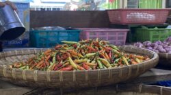 Usai Iduladha, Harga Rica di Pasar Kota Gorontalo Melonjak hingga Rp100 Ribu per Kilo