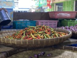 Usai Iduladha, Harga Rica di Pasar Kota Gorontalo Melonjak hingga Rp100 Ribu per Kilo