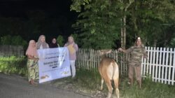 Sebanyak 18 Sapi Kurban PT Gorontalo Minerals Menyasar Enam Kecamatan di Bone Bolango