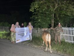 Sebanyak 18 Sapi Kurban PT Gorontalo Minerals Menyasar Enam Kecamatan di Bone Bolango
