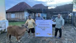 PT Gorontalo Minerals Libatkan Kades dan Camat Distribusikan Hewan Kurban