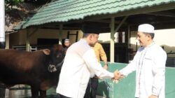 Idul Adha 1447 H, Polda Gorontalo Sembelih 19 Sapi dan 7 Kambing untuk Warga