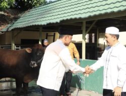 Idul Adha 1447 H, Polda Gorontalo Sembelih 19 Sapi dan 7 Kambing untuk Warga