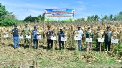 Bupati Saipul Sebut Potensi Jagung Pohuwato Harus Jadi Penopang Ketahanan Pangan