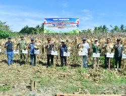 Bupati Saipul Sebut Potensi Jagung Pohuwato Harus Jadi Penopang Ketahanan Pangan