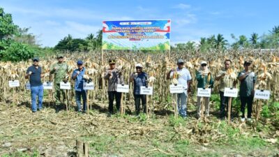 Bupati Saipul Sebut Potensi Jagung Pohuwato Harus Jadi Penopang Ketahanan Pangan
