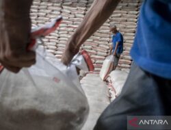 Mempertahankan Swasembada dan Cadangan Beras Pemerintah
