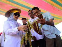 Tinjau Panen di Boalemo, Wagub Gorontalo Apresiasi Teknologi Prebiotik Zero Waste