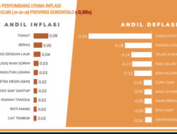 Data BPS Mei 2026: Gorontalo Deflasi 0,96 Persen, Nilai Tukar Petani Turun ke 121,92