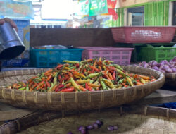 Harga Pangan: Rica tembus Rp87 ribu, Minyak Goreng di Gorontalo termahal di Indonesia