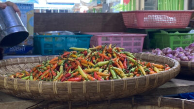 Harga Pangan: Rica tembus Rp87 ribu, Minyak Goreng di Gorontalo termahal di Indonesia