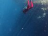 Taman Laut Olele Jadi Destinasi Wisata Rekomendasi bagi Peserta PENAS XVII