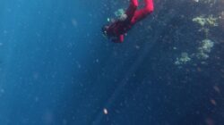 Taman Laut Olele Jadi Destinasi Wisata Rekomendasi bagi Peserta PENAS XVII