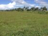 Pemprov Gorontalo Pilih Cetak Sawah Baru daripada Selesaikan Sedimentasi yang Matikan Sawah Petani Sendiri