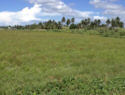 Pemprov Gorontalo Pilih Cetak Sawah Baru daripada Selesaikan Sedimentasi yang Matikan Sawah Petani Sendiri