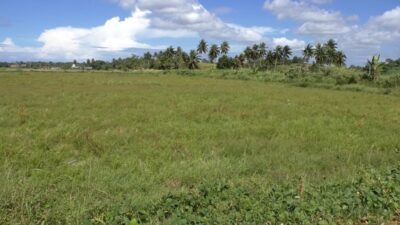 Cetak Sawah Baru Gorontalo