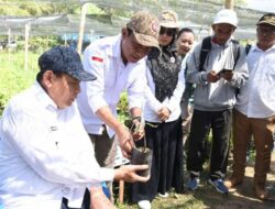 Mengenal Kakao, Tanaman Bernilai Ekonomi Tinggi yang Akan Disalurkan Pemprov Gorontalo kepada Petani Boalemo