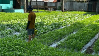 Tangan Dingin Kalapas Gorontalo: Ketahanan Pangan Dimulai dari Balik Jeruji
