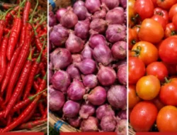 Harga Cabai dan Bawang Merah Menurun, Sementara Tomat Justru Naik di Kotamobagu