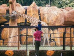 Imbangi Fungsi Bisnis dan Konservasi, Pengawasan Medis Satwa KBS Diperkuat