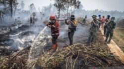 Tembus Medan Sulit, Pasukan Penerjun TNI Diturunkan Padamkan Karhutla di Riau