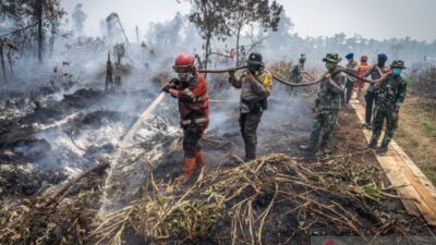 Tembus Medan Sulit, Pasukan Penerjun TNI Diturunkan Padamkan Karhutla di Riau