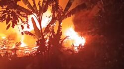 ​Kebakaran Hutan Gunung Panjang Ancam Permukiman di Popayato Timur