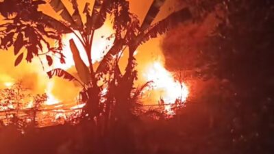 ​Kebakaran Hutan Gunung Panjang Ancam Permukiman di Popayato Timur