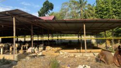Krimsus Polda Gorontalo Amankan Sembilan Orang Terkait Pengolahan Emas Tanpa Izin di Bone Bolango