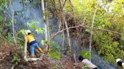 Kebakaran Landa Puncak Batu Gergaji, Tim Gabungan GM dan Polisi Berjibaku Padamkan Api