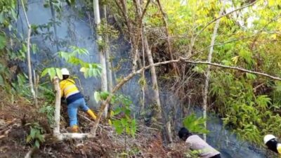 Kebakaran Landa Puncak Batu Gergaji, Tim Gabungan GM dan Polisi Berjibaku Padamkan Api
