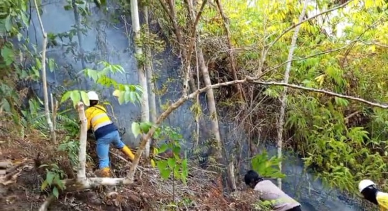 Kebarakan Hutan Batu Gergaji
