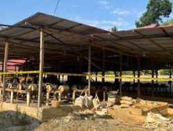 Dugaan TPPU Diendus, Krimsus Polda Gorontalo Diminta Usut Aliran Dana PETI CYN ke Sejumlah Usaha di Kota Gorontalo