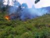 Cuaca Panas dan Kering, Polda Gorontalo Imbau Warga Waspada Karhutlah