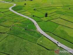 Menteri ATR Nusron Wahid Minta Pemda Segera Integrasikan LP2B ke Rencana Tata Ruang