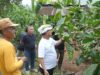 Sukseskan G30PB, Bupati Thariq Integrasikan Kopi Liberika dengan Durian