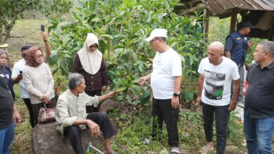 Sukseskan G30PB, Bupati Thariq Integrasikan Kopi Liberika dengan Durian