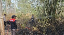 Satgas Karhutla Berjibaku Padamkan Api di Bonepantai