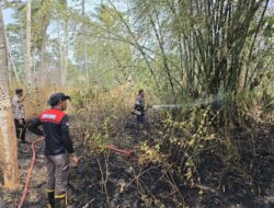 Satgas Karhutla Berjibaku Padamkan Api di Bonepantai