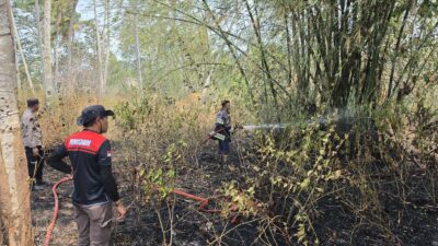 Satgas Karhutla Berjibaku Padamkan Api di Bonepantai