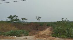 Kabut Asap Selimuti Gorontalo, Kualitas Udara di Empat Daerah Masuk Kategori Tidak Sehat