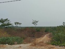 Kabut Asap Selimuti Gorontalo, Kualitas Udara di Empat Daerah Masuk Kategori Tidak Sehat